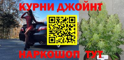 прущие крисы Славгород