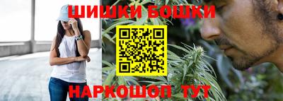 прущие крисы Славгород